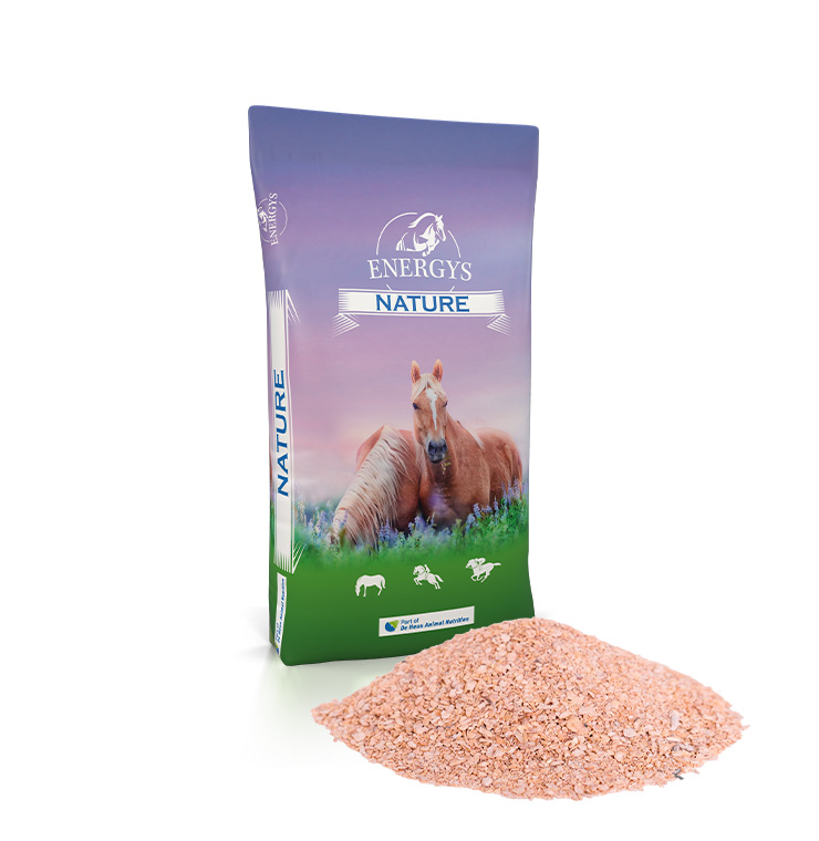 EXTRAHIERTES SOJASCHROT