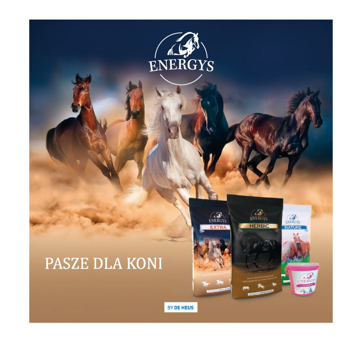 LINIA PASZ DLA KONI